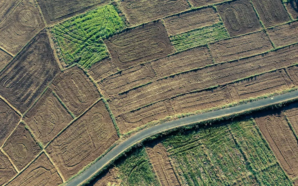 Parcelas agrícolas y sus delimitaciones vistas desde arriba junto a un camino